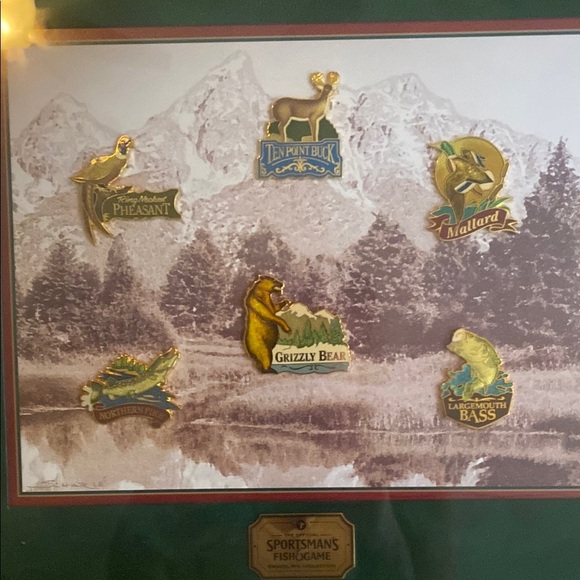 Franklin mint vintage sportsman fish & game enamel pin collection framed - Picture 4 of 4